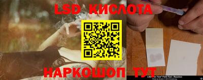 трава Сланцы