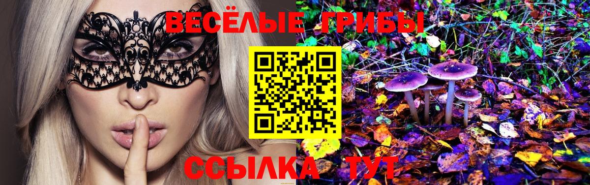 Галлюциногенные грибы Magic Shrooms  Псилоцибиновые грибы Psilocybe  Вход с VPN  как найти закладки  Морозовск 
