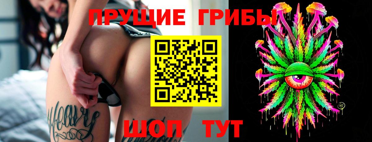 Галлюциногенные грибы Psilocybine cubensis Морозовск